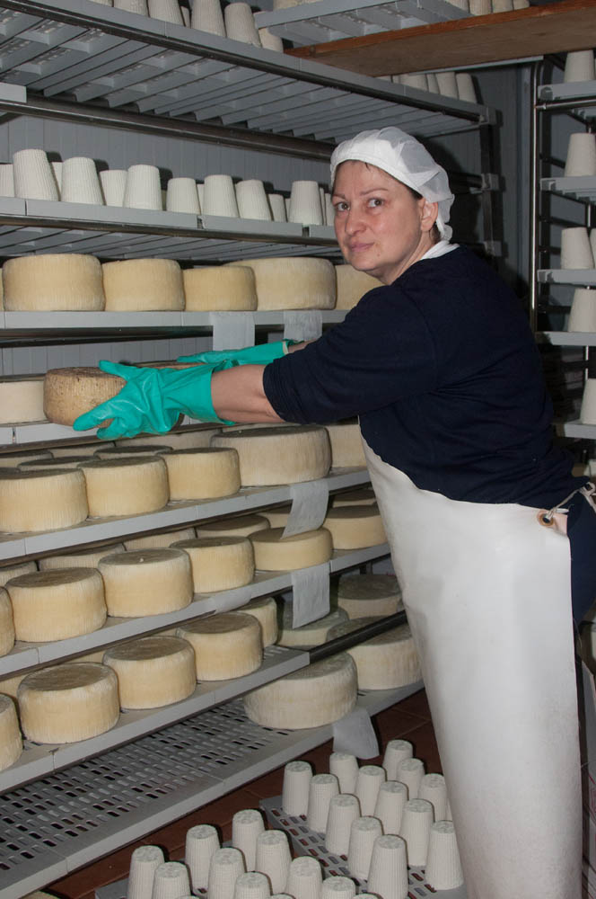 Fiorito cheesemakers, typical products