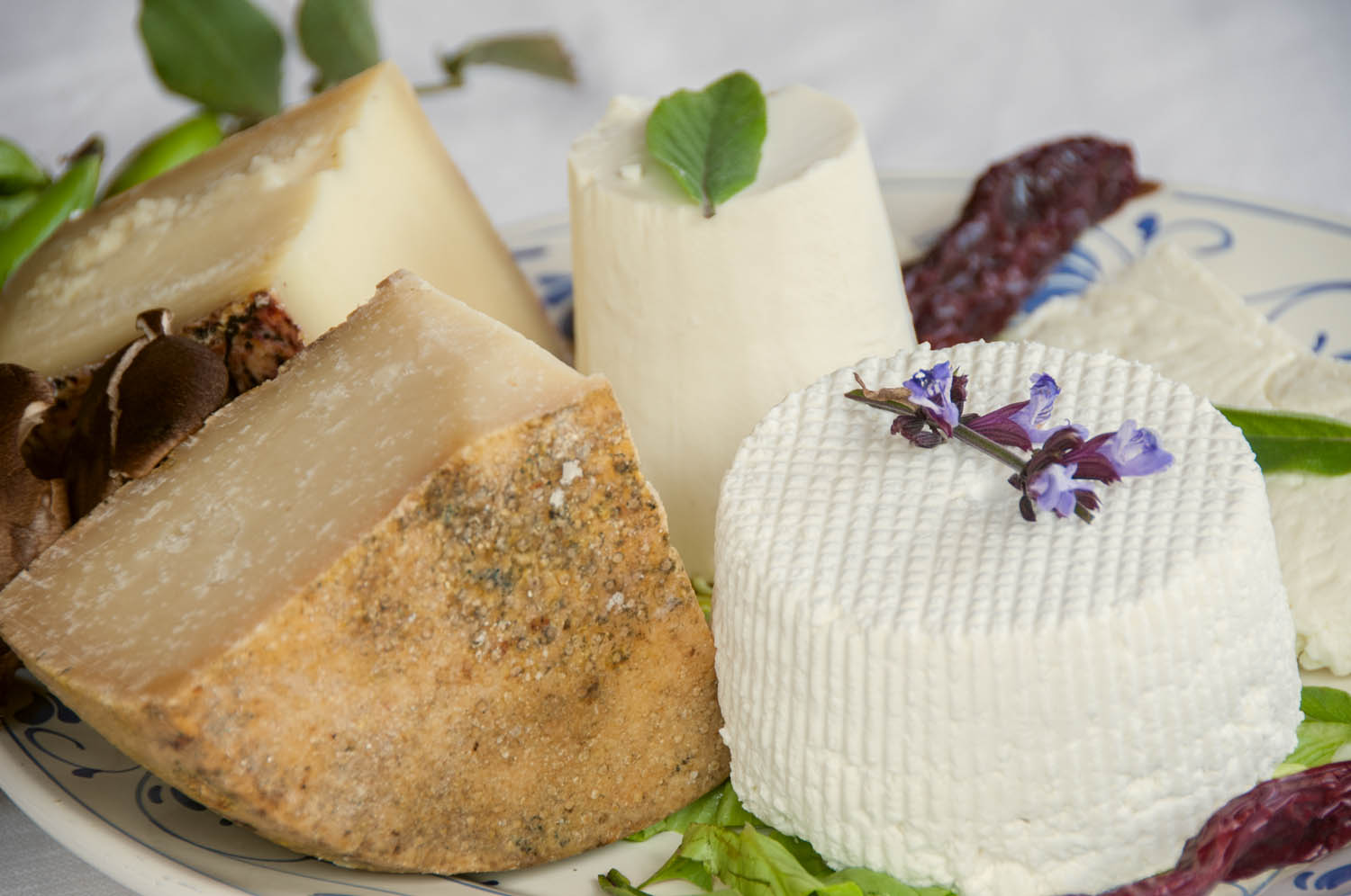 Fiorito cheesemakers, typical products